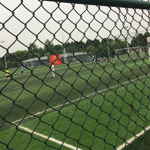 體育場(chǎng)勾花圍網(wǎng)圖片1 體育場(chǎng)勾花圍網(wǎng)圖片1