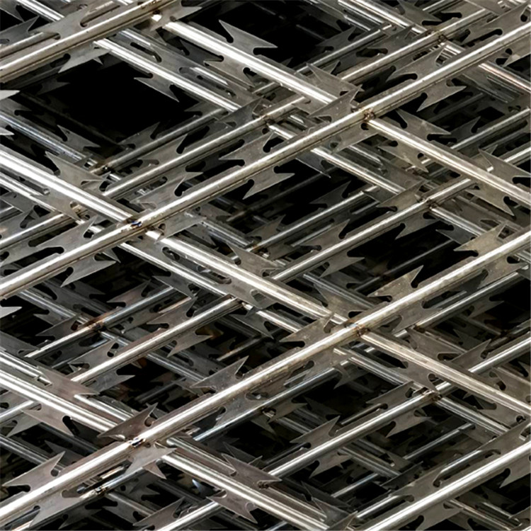 監獄菱形孔隔離網圖片4 監獄菱形孔隔離網圖片4