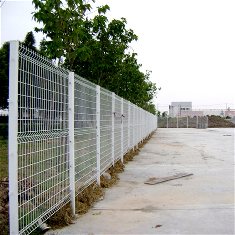 圈地養雞圍網圖片3