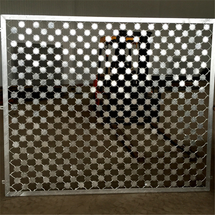 監獄梅花刺圍網圖片2 監獄梅花刺圍網圖片2