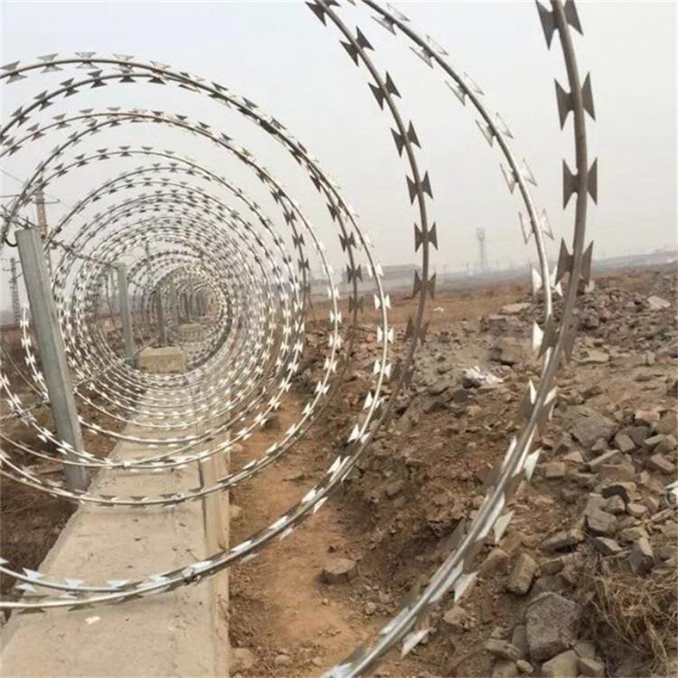 120g上鋅量刺絲滾籠圖片1 120g上鋅量刺絲滾籠圖片1