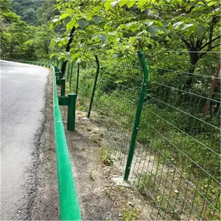 雙邊絲護欄網(wǎng)圖片2 雙邊絲護欄網(wǎng)圖片2