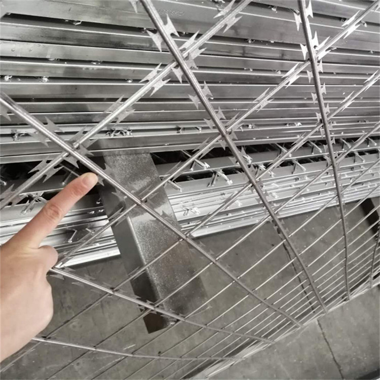 看守所倒刺網圖片3