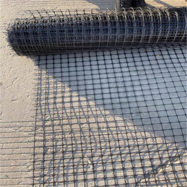 聚乙烯土工格柵圖片1 聚乙烯土工格柵圖片1