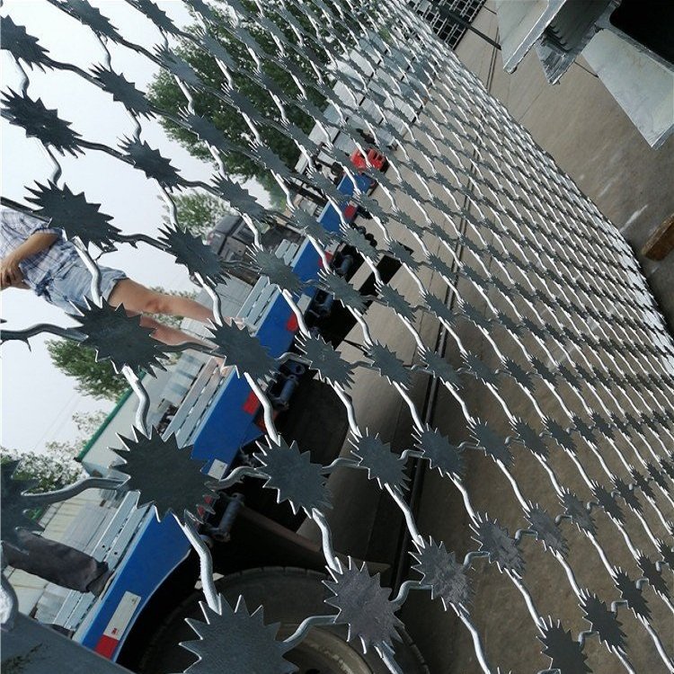 監獄圍墻隔離網圖片4 監獄圍墻隔離網圖片4